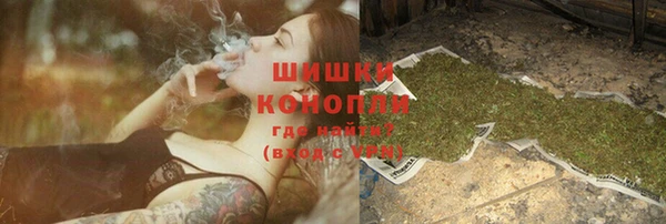 стафф Новодвинск