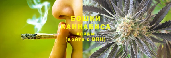 стафф Новодвинск