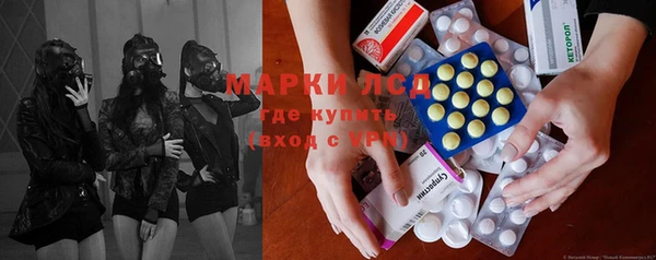 стафф Новодвинск