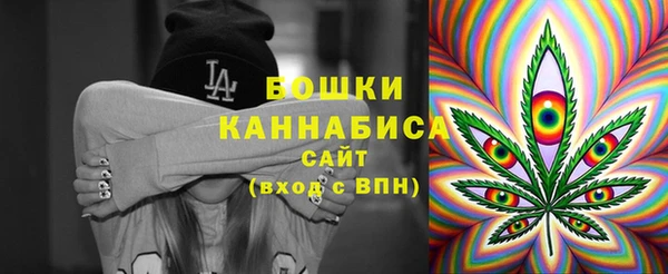 стафф Новодвинск